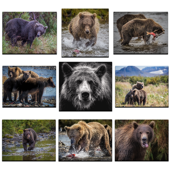 Alaskan Bear 5x7 Cards